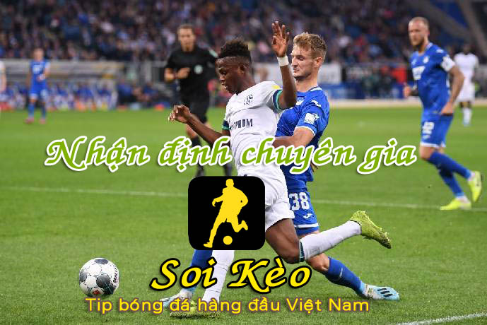 Soi Kèo Hoffenheim - Schalke