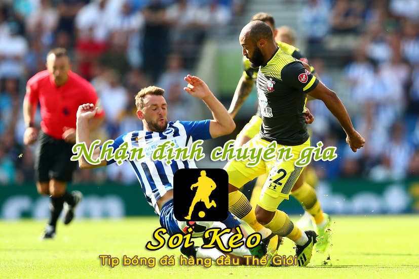 Soi Kèo Southampton - Brighton