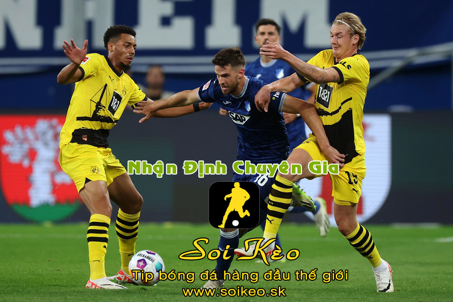 Soi Kèo tip bóng đá Dortmund - Hoffenheim