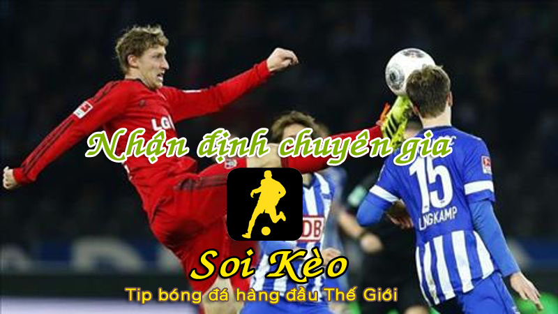 Soi Kèo Leverkusen - Hertha Berlin