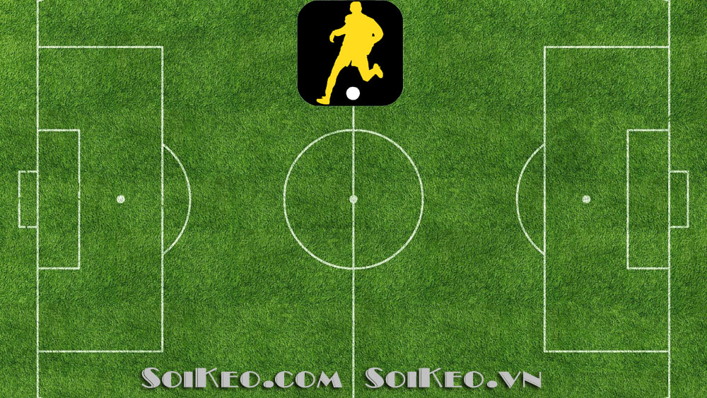 Có nên tin tưởng tip bóng đá?