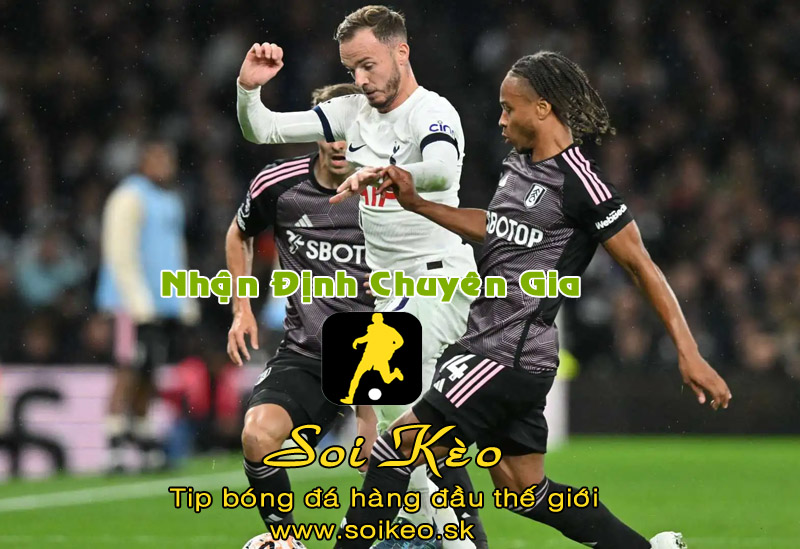Soi Kèo tip bóng đá Tottenham - Fulham