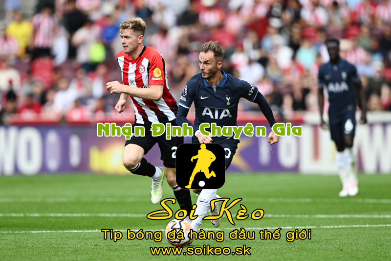Soi Kèo tip bóng đá Tottenham - Brentford
